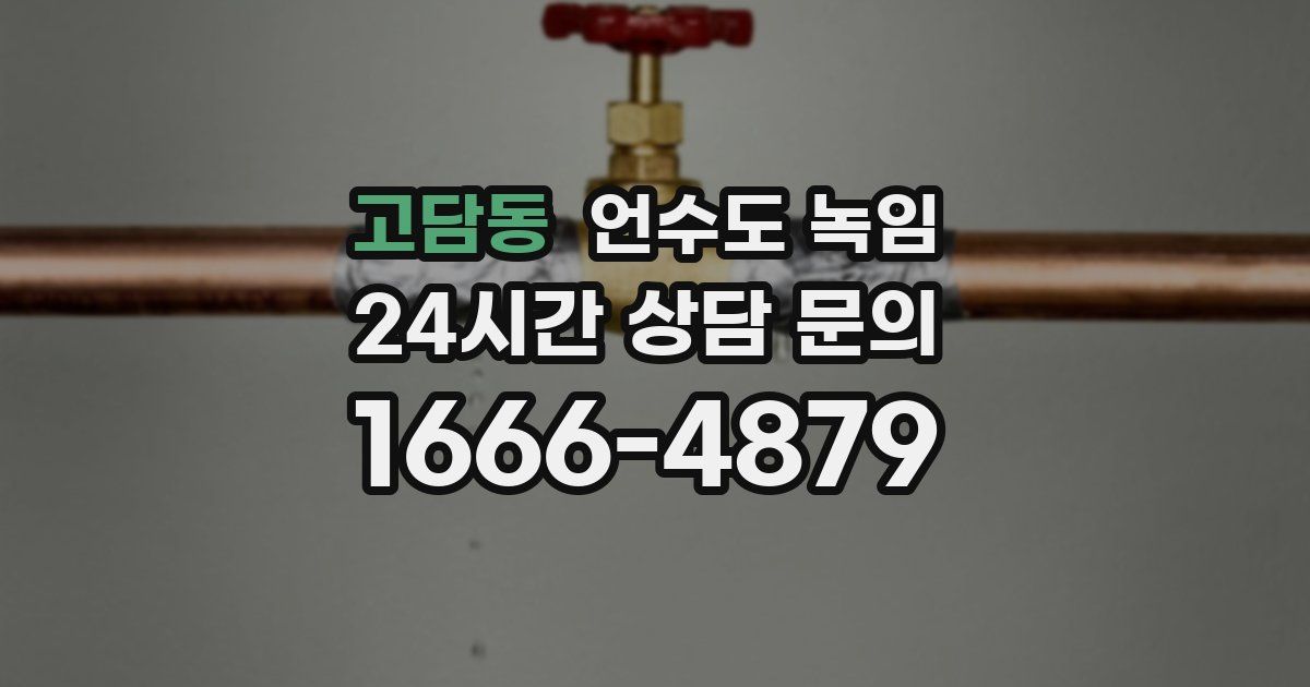 고담동 언수도 녹임