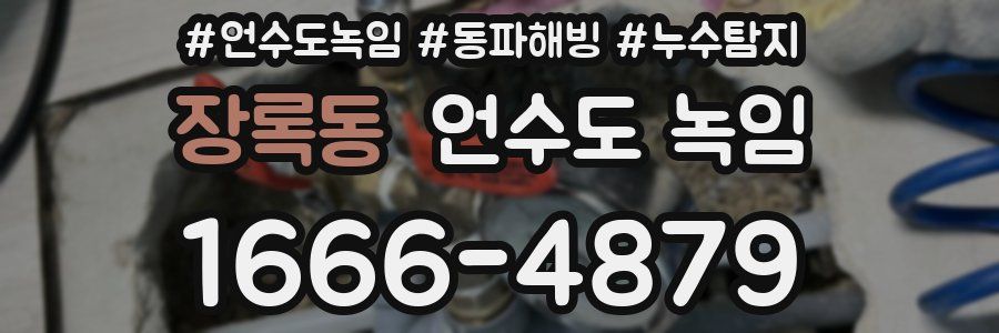 장록동 언수도 녹임