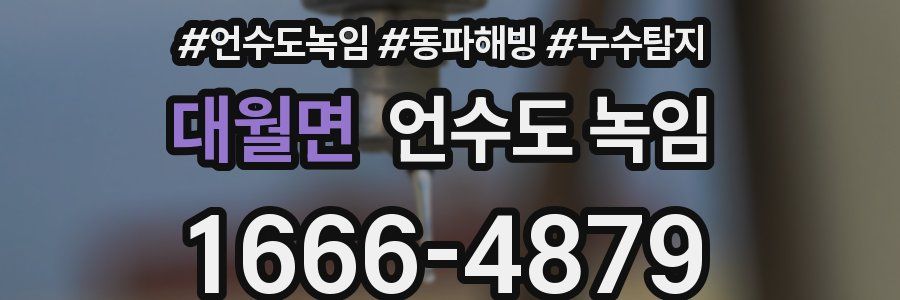 대월면 언수도 녹임