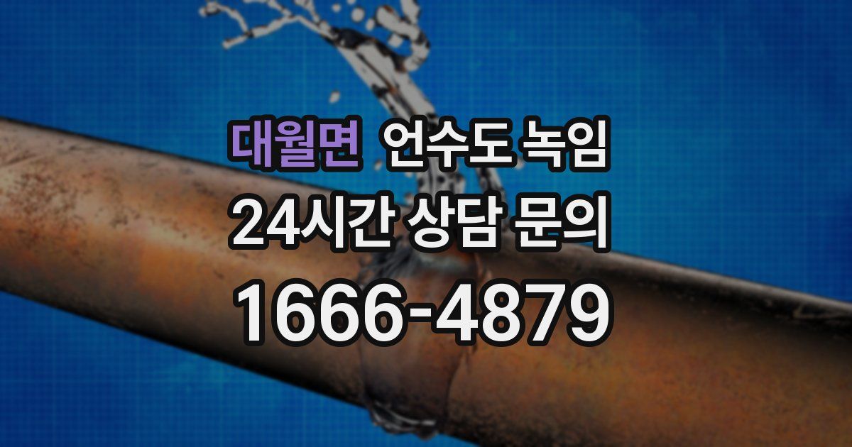 대월면 언수도 녹임