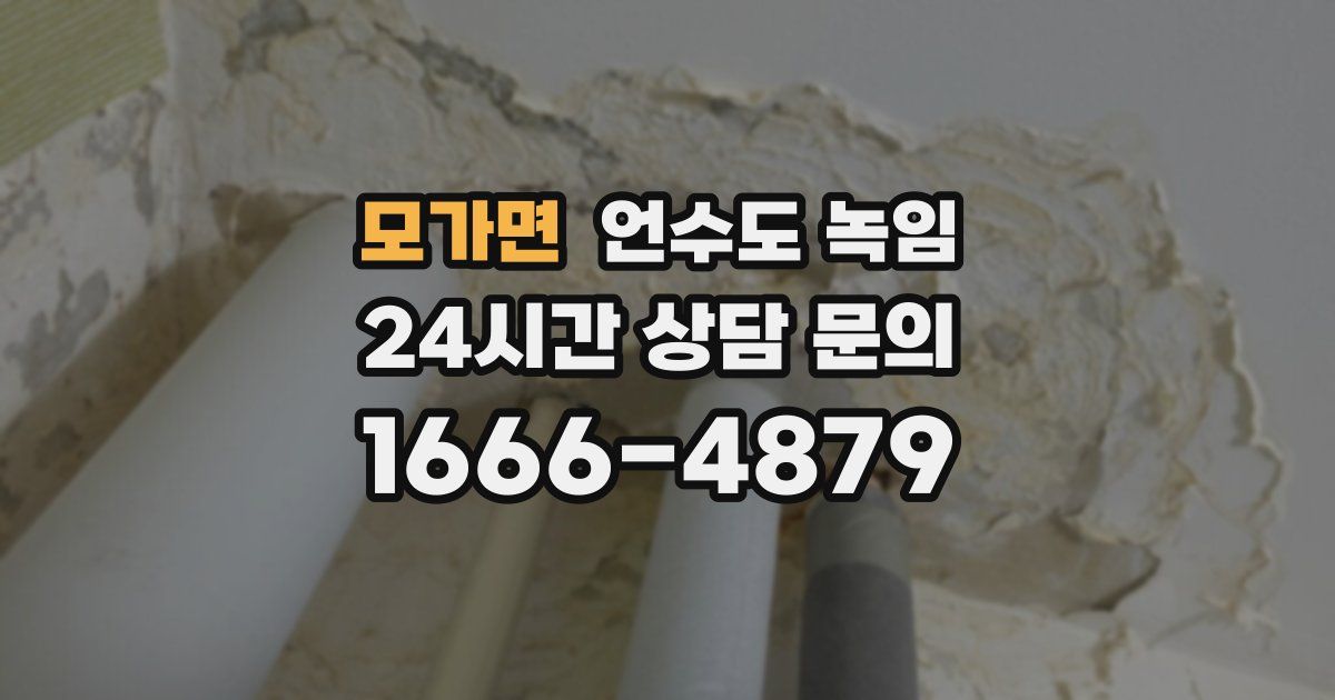 모가면 언수도 녹임