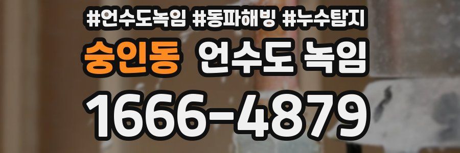 숭인동 언수도 녹임