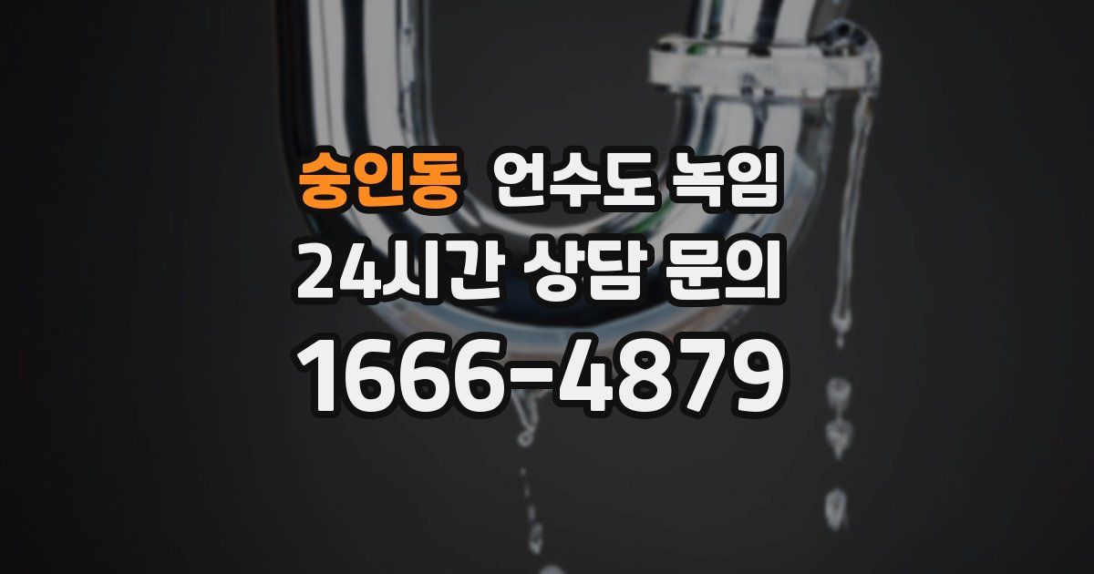 숭인동 언수도 녹임