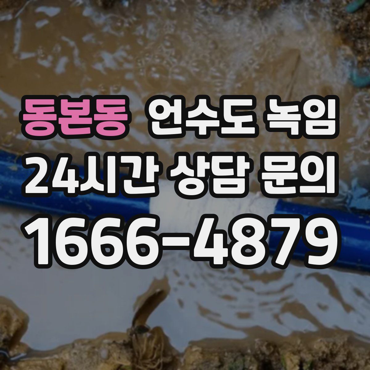 동본동 언수도 녹임