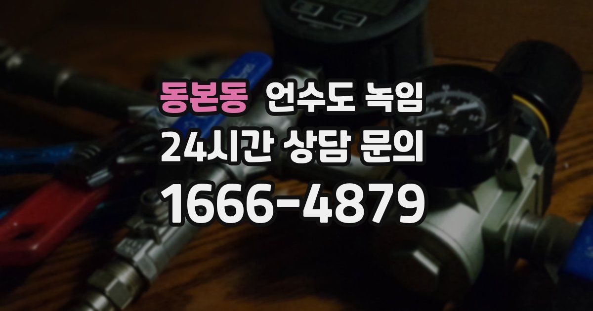 동본동 언수도 녹임