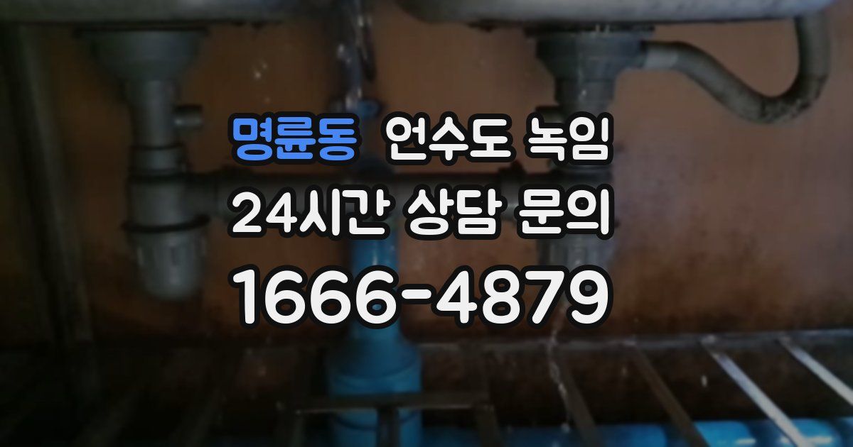 명륜동 언수도 녹임