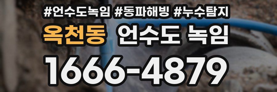옥천동 언수도 녹임