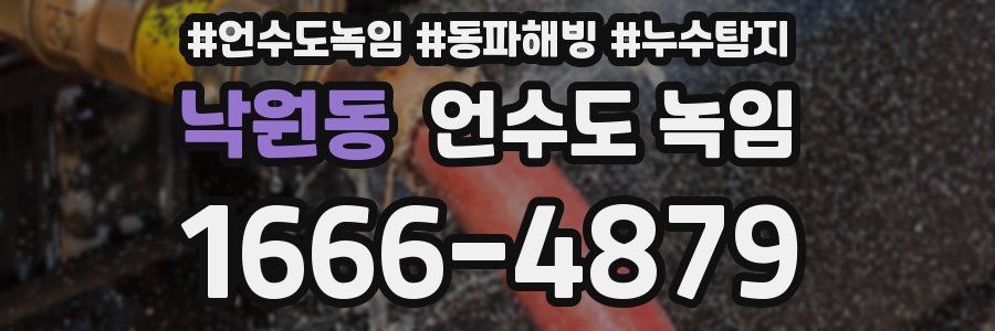 낙원동 언수도 녹임