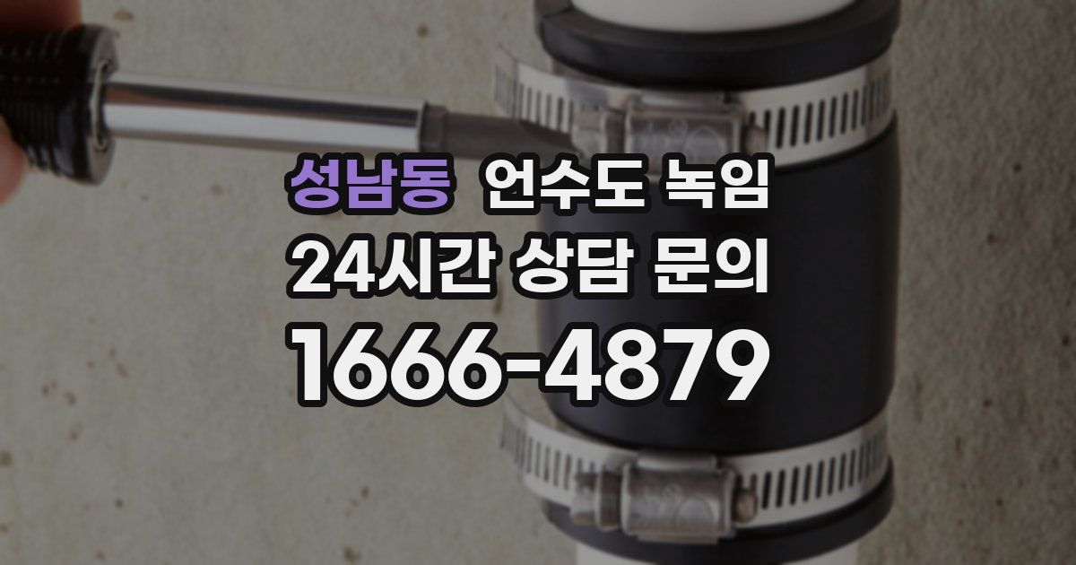 성남동 언수도 녹임