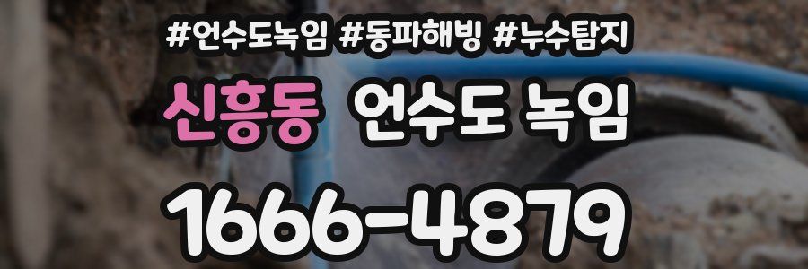 신흥동 언수도 녹임