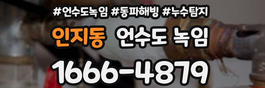 인지동 언수도 녹임