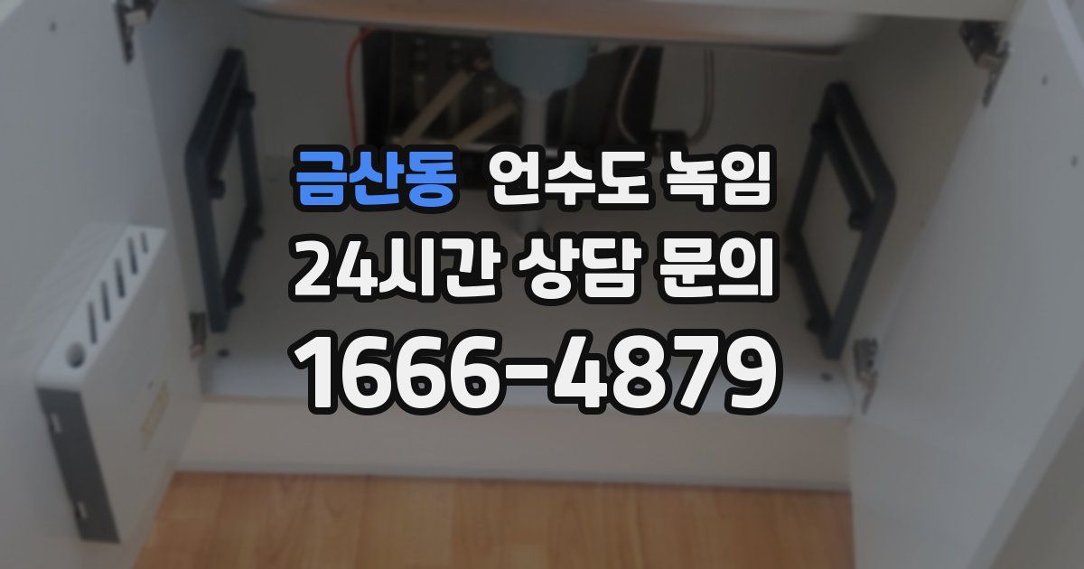 금산동 언수도 녹임