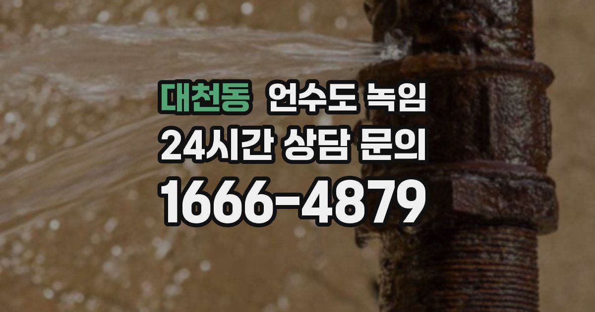 대천동 언수도 녹임