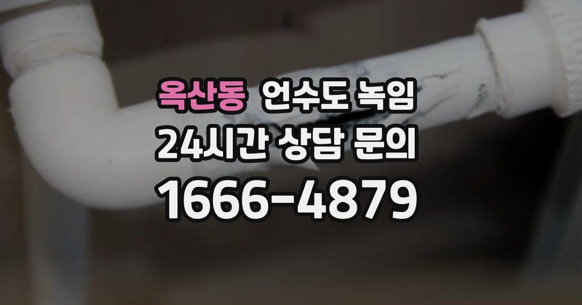 옥산동 언수도 녹임