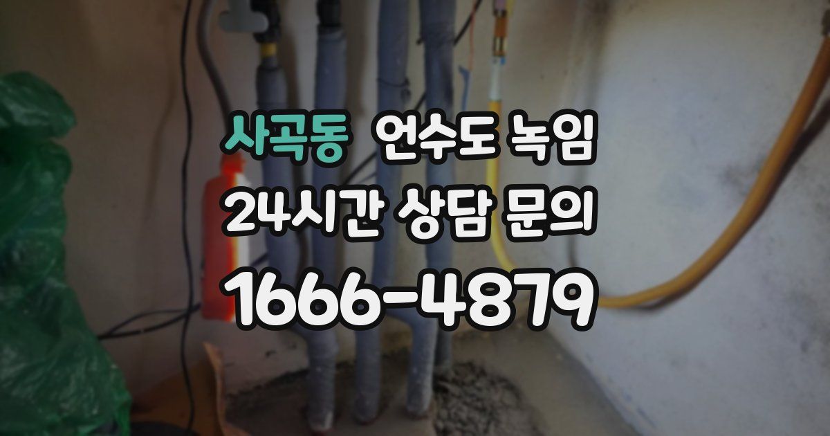 사곡동 언수도 녹임