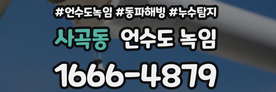 사곡동 언수도 녹임