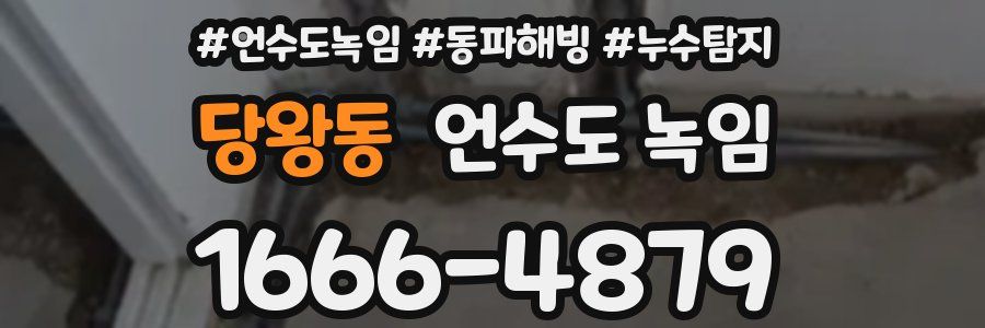 당왕동 언수도 녹임