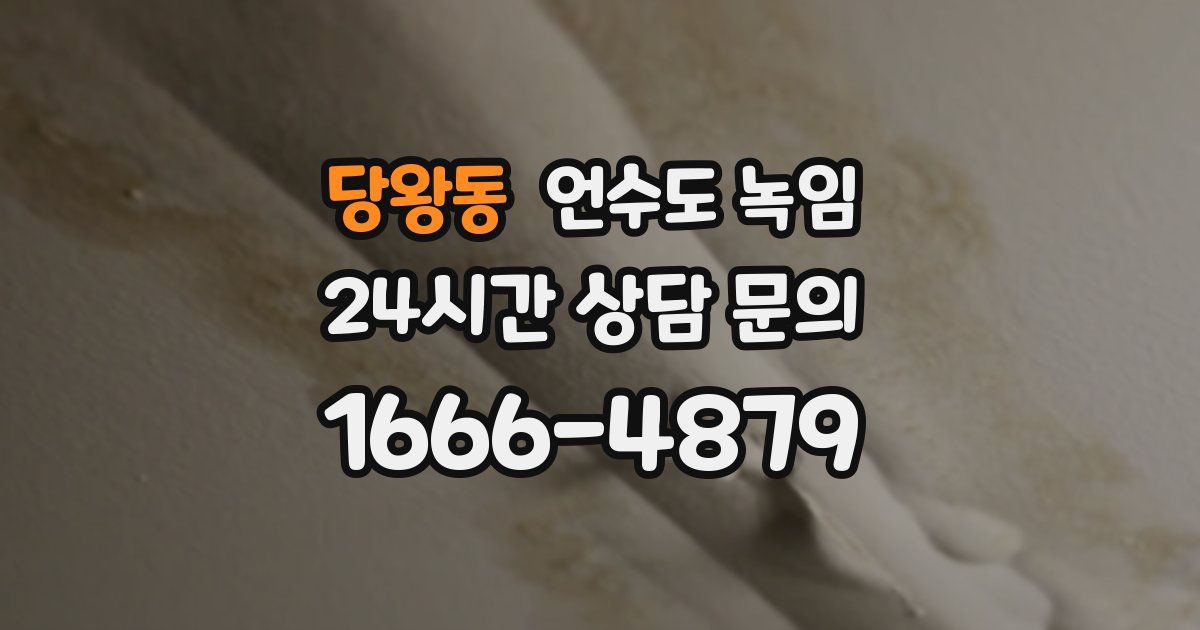 당왕동 언수도 녹임