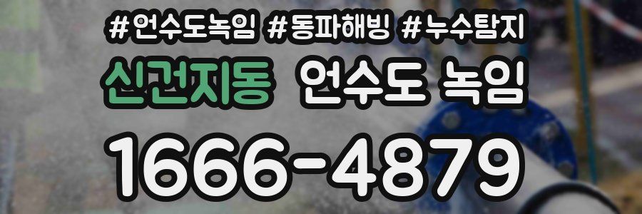 신건지동 언수도 녹임