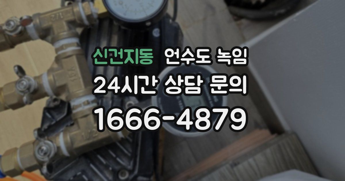 신건지동 언수도 녹임