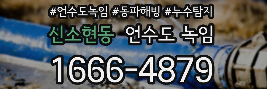 신소현동 언수도 녹임