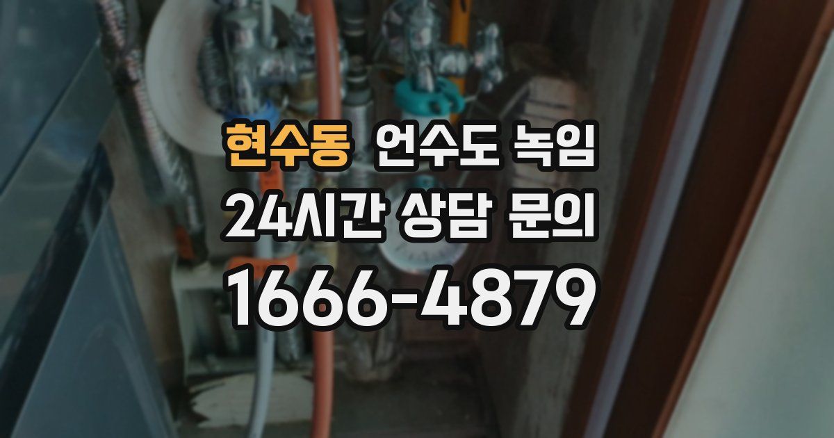 현수동 언수도 녹임