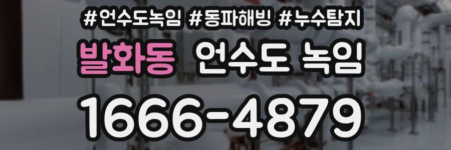 발화동 언수도 녹임