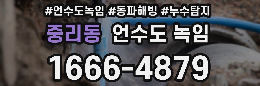 중리동 언수도 녹임