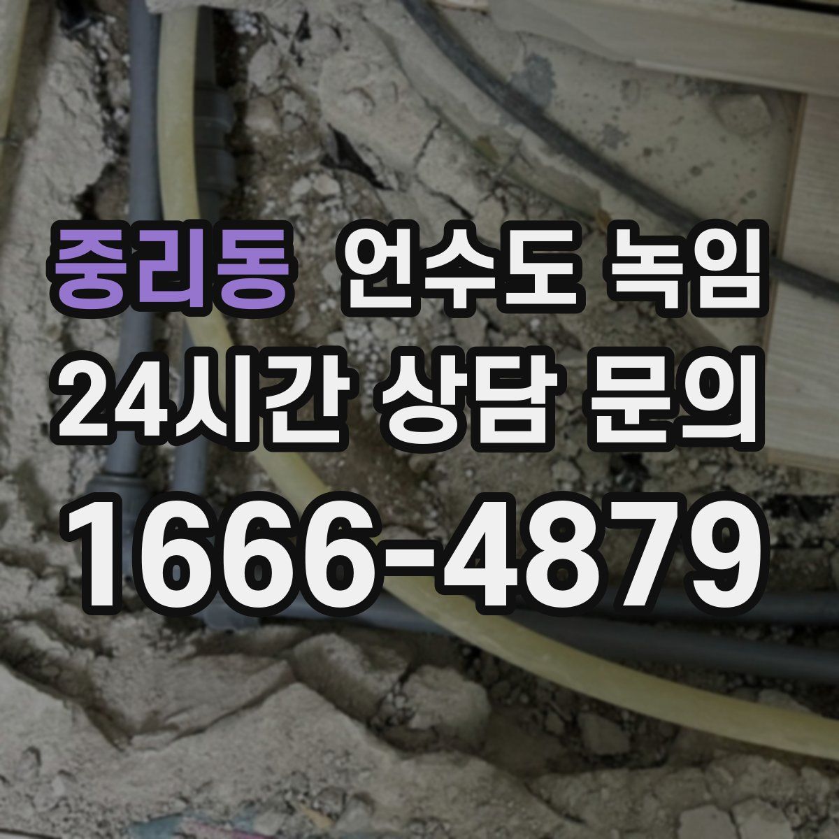 중리동 언수도 녹임