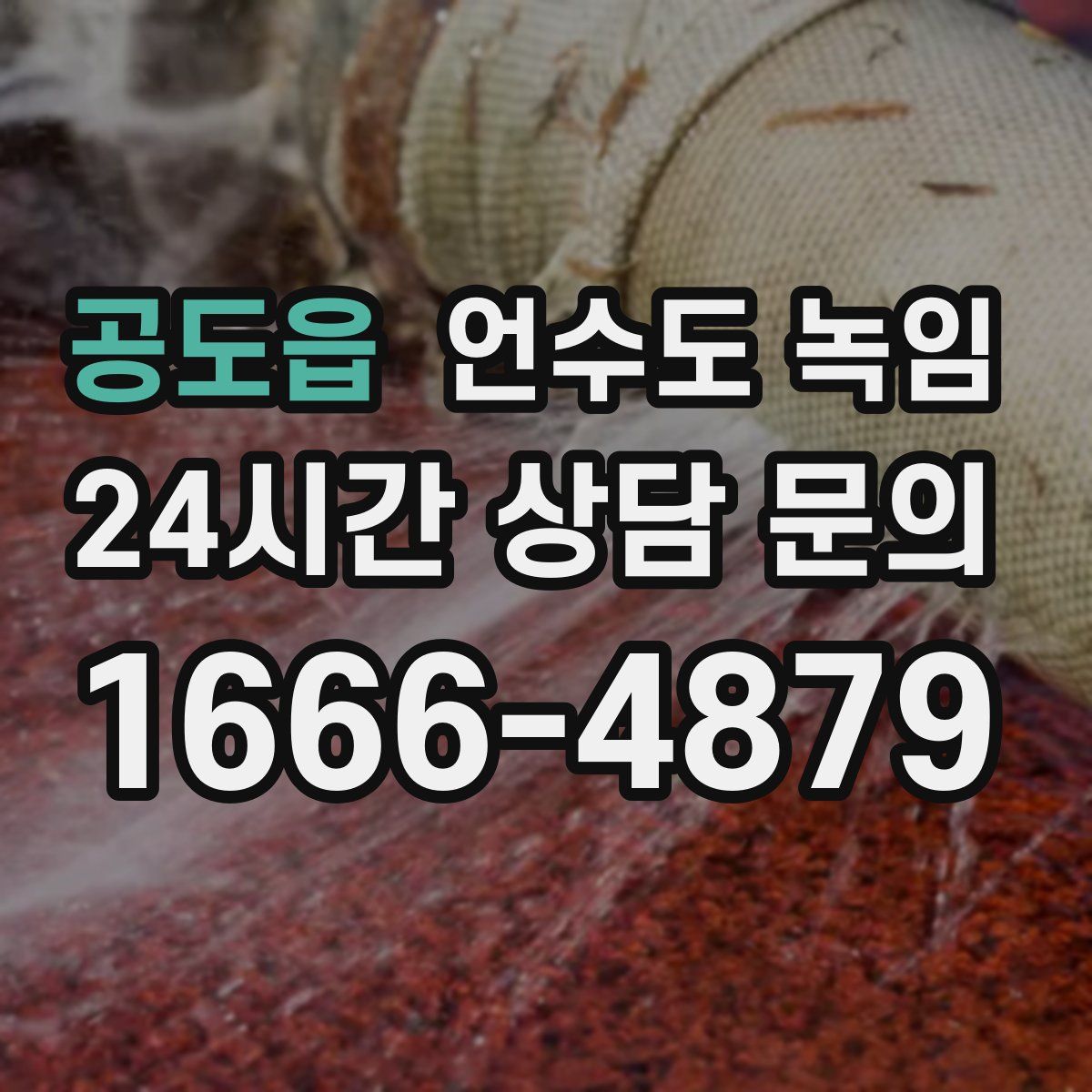 공도읍 언수도 녹임