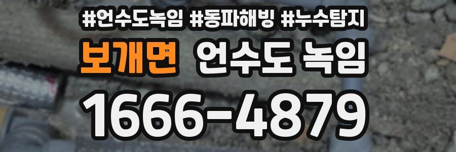 보개면 언수도 녹임