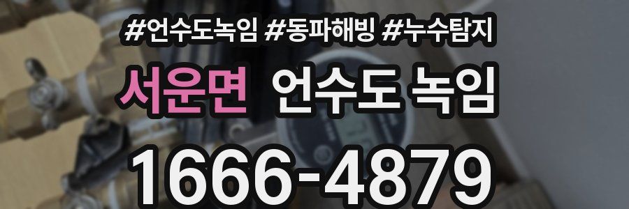 서운면 언수도 녹임