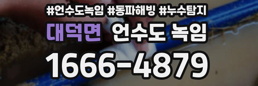 대덕면 언수도 녹임