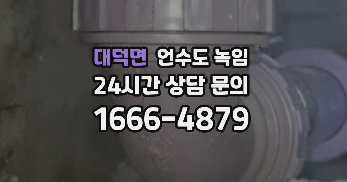 대덕면 언수도 녹임