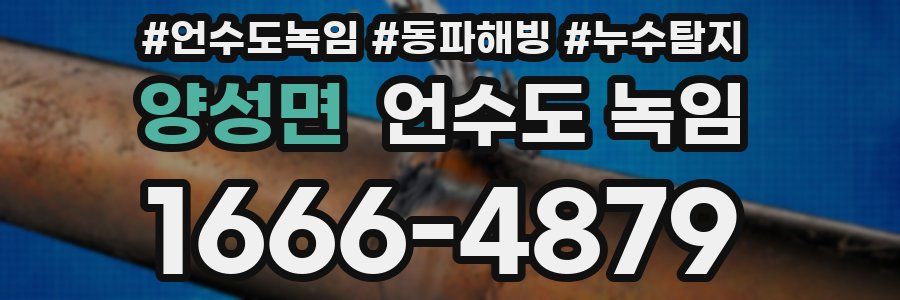 양성면 언수도 녹임