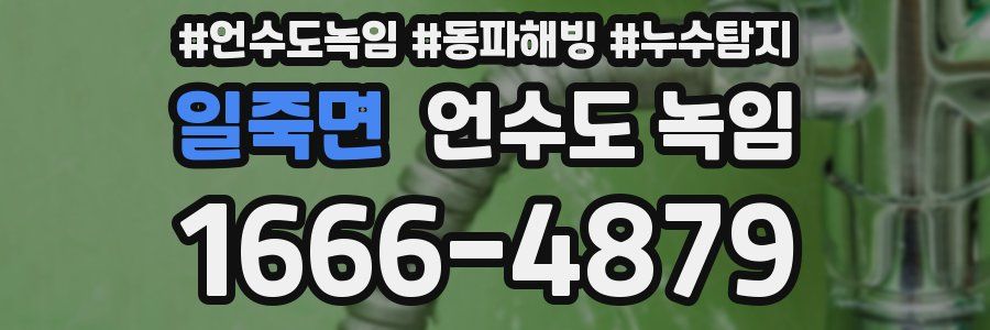 일죽면 언수도 녹임