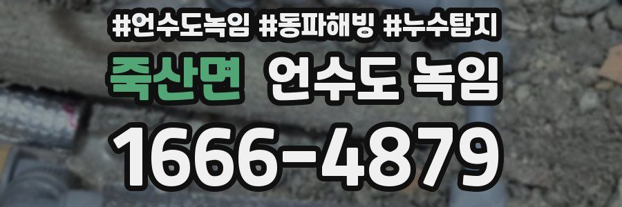 죽산면 언수도 녹임