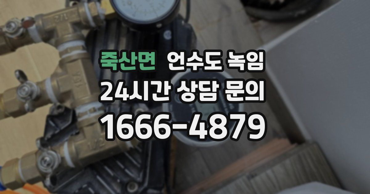죽산면 언수도 녹임