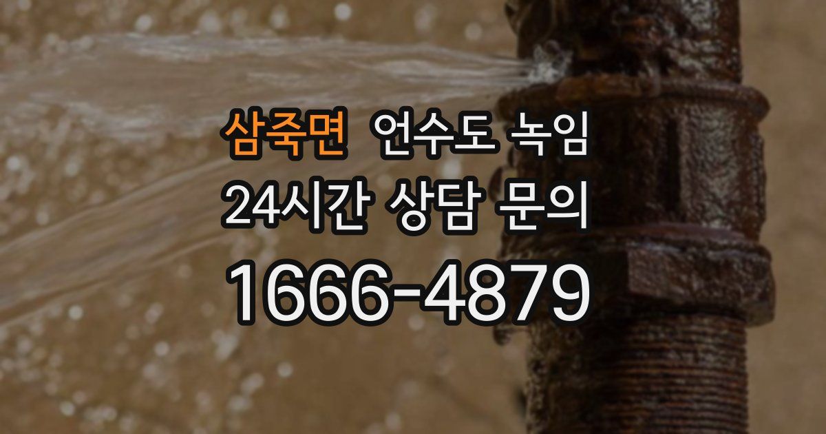 삼죽면 언수도 녹임