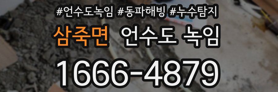 삼죽면 언수도 녹임