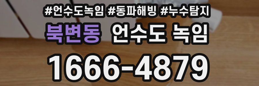 북변동 언수도 녹임