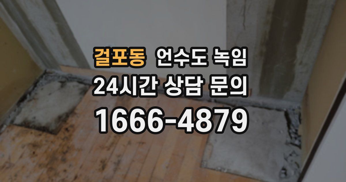 걸포동 언수도 녹임