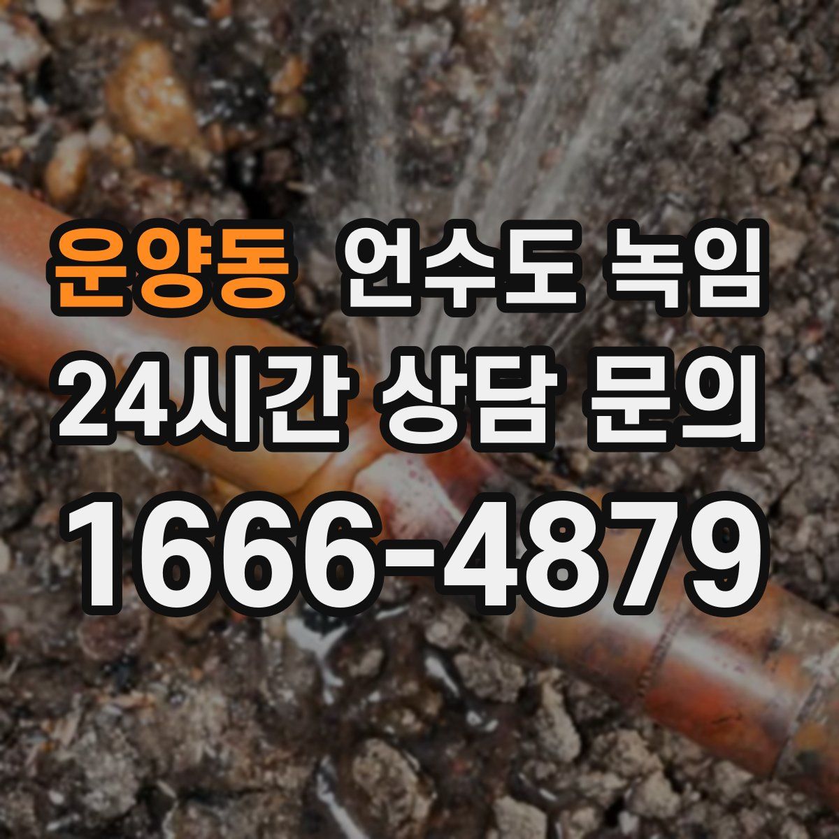 운양동 언수도 녹임