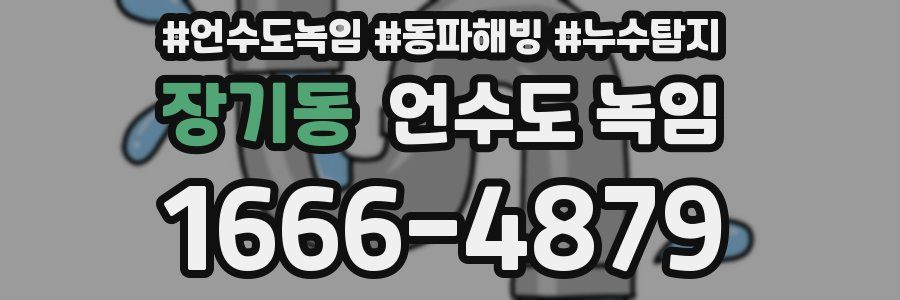 장기동 언수도 녹임