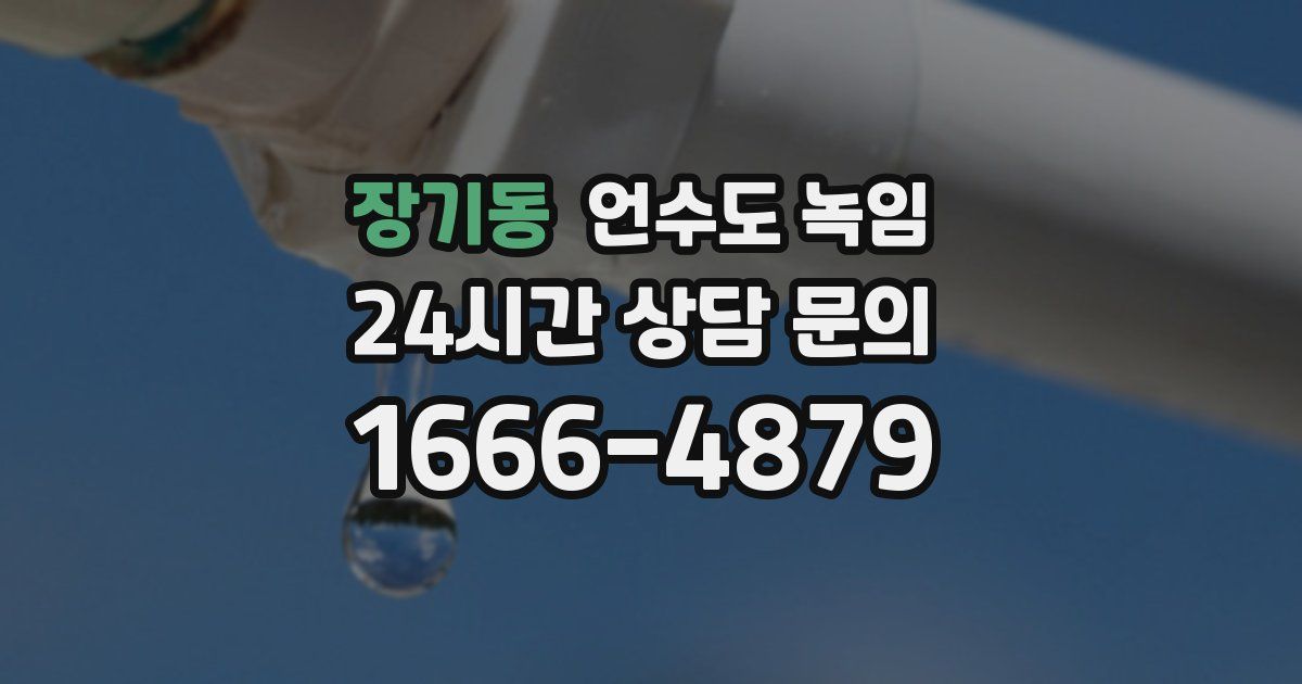 장기동 언수도 녹임