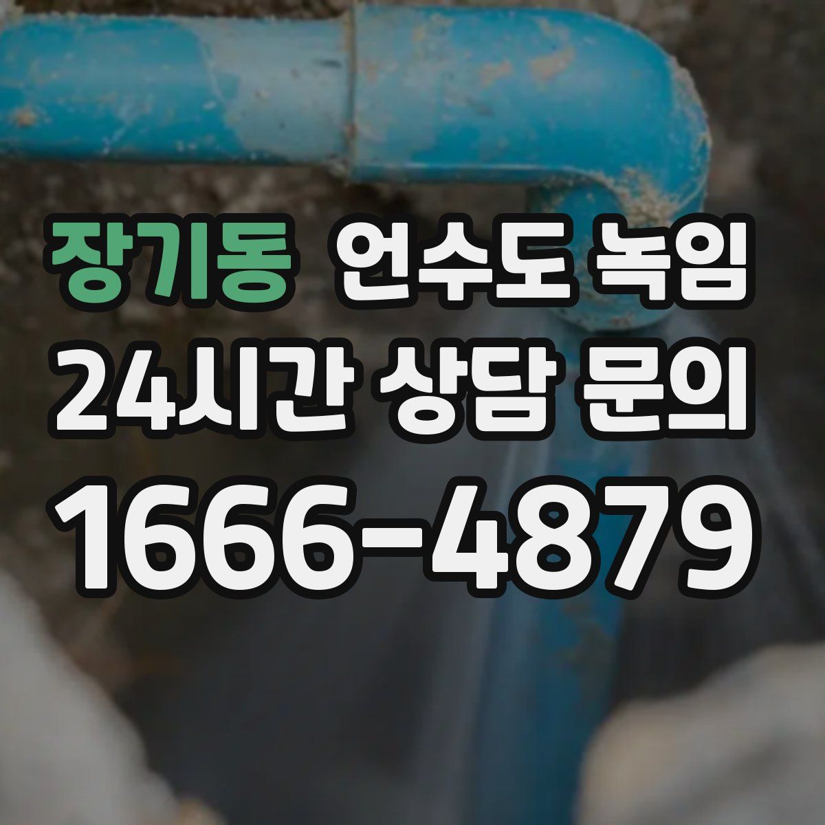장기동 언수도 녹임