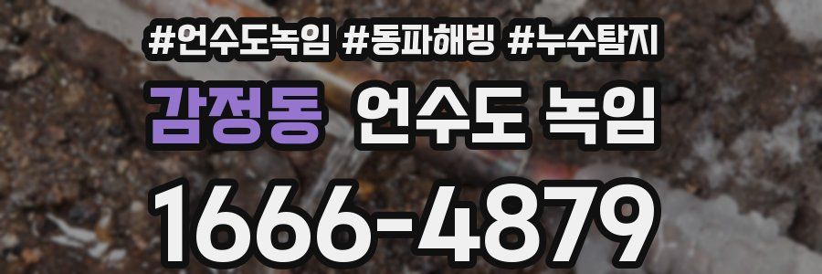 감정동 언수도 녹임