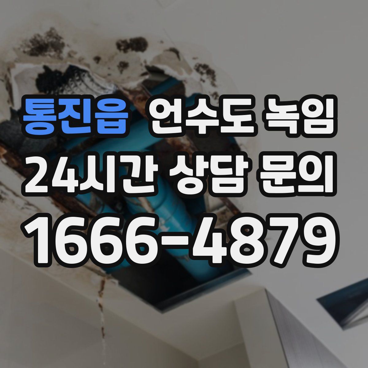 통진읍 언수도 녹임