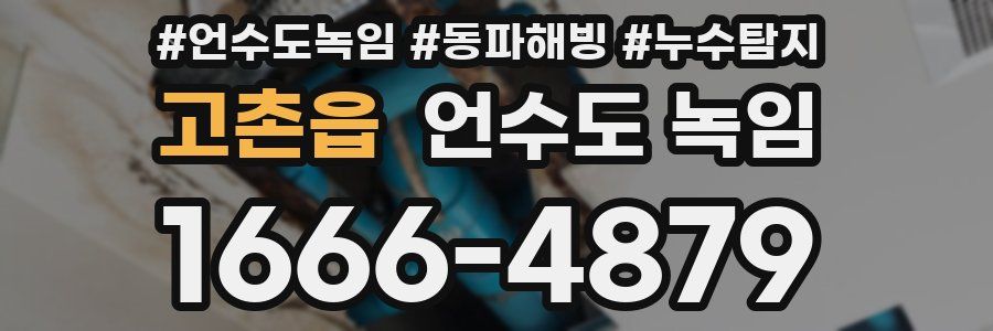 고촌읍 언수도 녹임