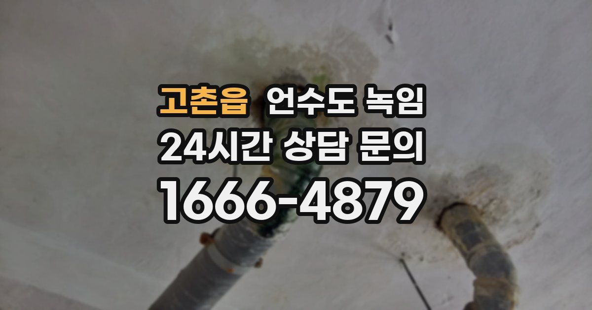 고촌읍 언수도 녹임